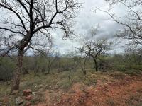  of property in Hoedspruit