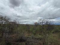  of property in Hoedspruit