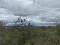  of property in Hoedspruit
