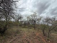  of property in Hoedspruit
