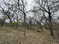  of property in Hoedspruit