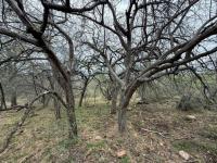  of property in Hoedspruit