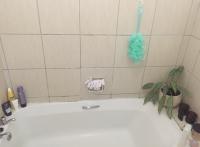  of property in Lakeside (Capetown)