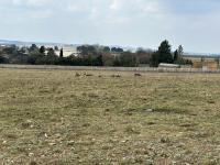  of property in Emalahleni (Witbank) 