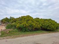  of property in Paradise Beach