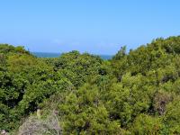  of property in Paradise Beach