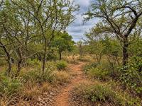  of property in Hoedspruit