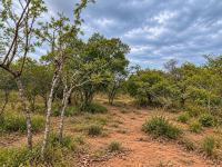  of property in Hoedspruit