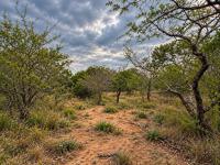  of property in Hoedspruit