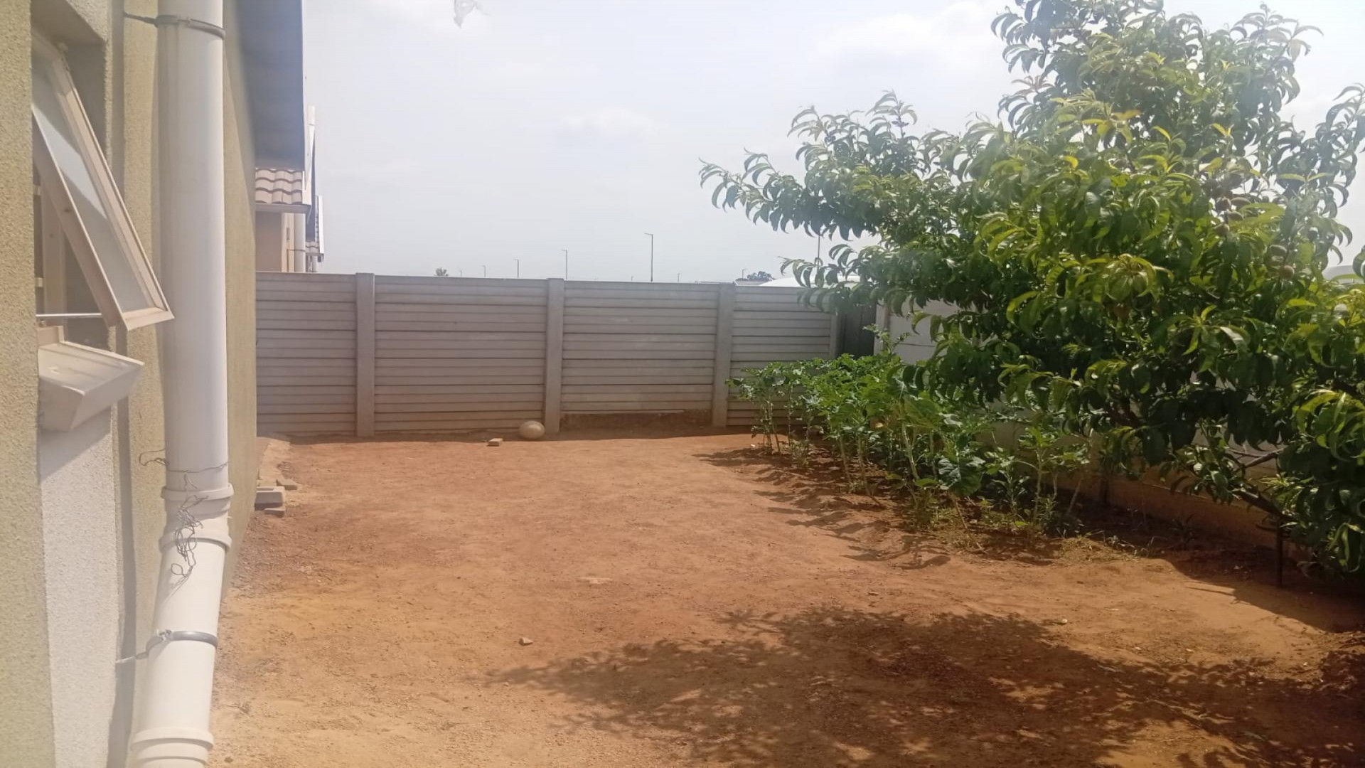 Backyard of property in Palm Ridge