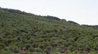  of property in Montagu