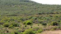  of property in Montagu