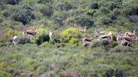  of property in Montagu