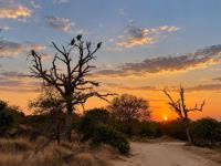  of property in Hoedspruit