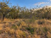  of property in Hoedspruit