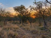  of property in Hoedspruit