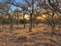  of property in Hoedspruit