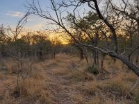  of property in Hoedspruit