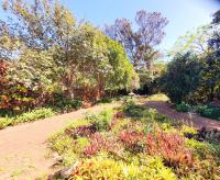  of property in Montclair (Dbn)