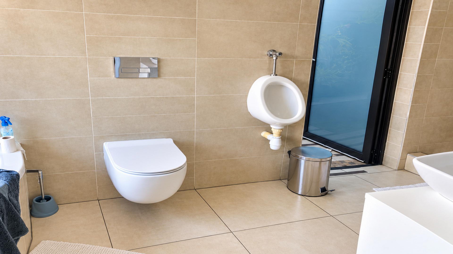 Bathroom 1 of property in Elspark