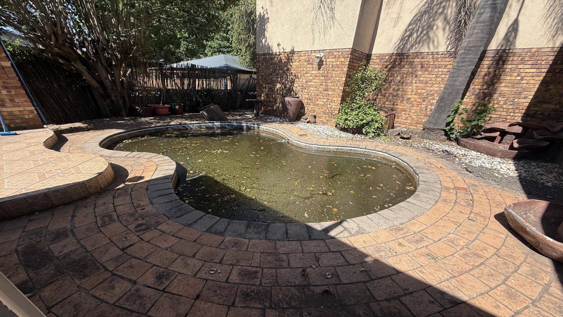 Swimming Pool of property in Middelburg - MP
