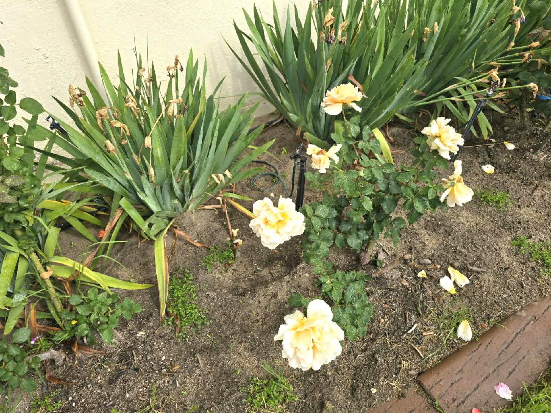  of property in Paarl