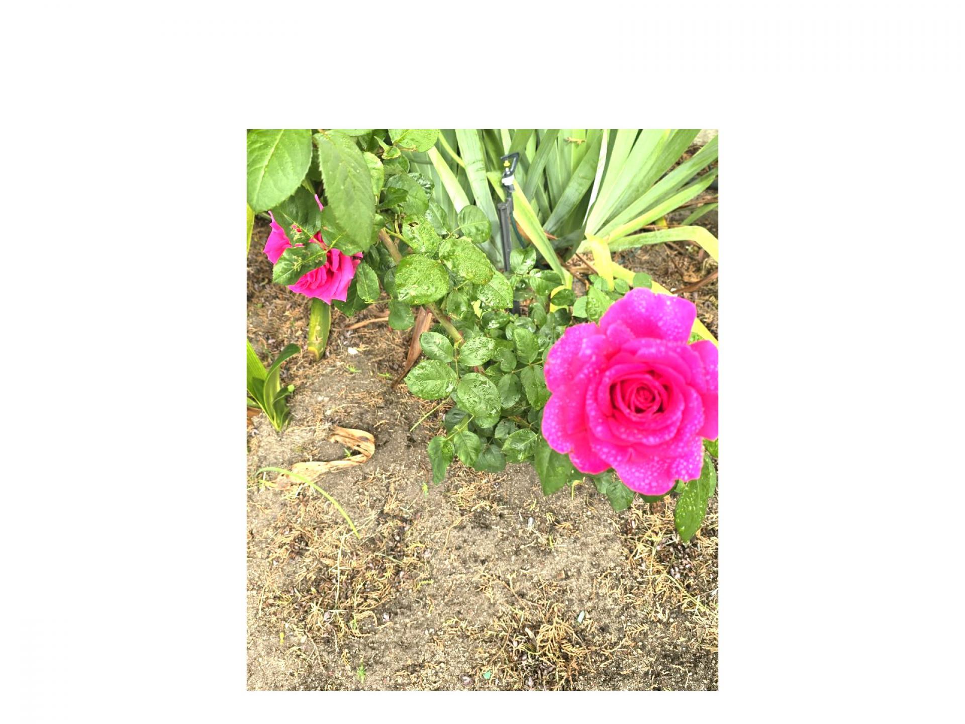  of property in Paarl