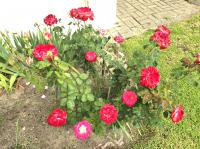  of property in Paarl