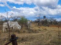  of property in Polokwane