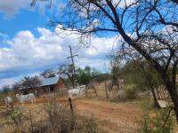  of property in Polokwane