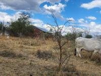  of property in Polokwane