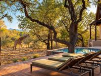  of property in Hoedspruit
