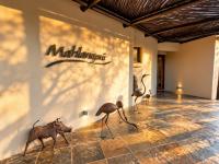  of property in Hoedspruit