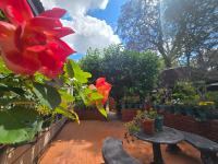  of property in Polokwane