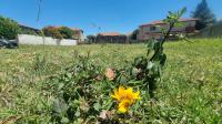  of property in Bendor