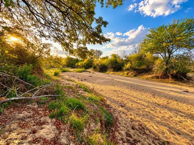 Land for Sale For Sale in Hoedspruit - MR725589