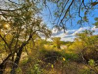  of property in Hoedspruit