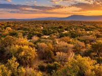  of property in Hoedspruit