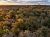 of property in Hoedspruit