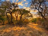  of property in Hoedspruit