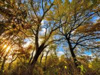  of property in Hoedspruit
