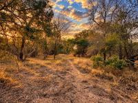  of property in Hoedspruit