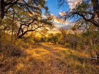  of property in Hoedspruit