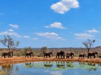  of property in Hoedspruit