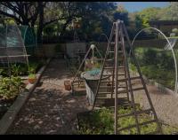  of property in Morningside Manor