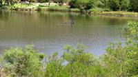  of property in Robertson