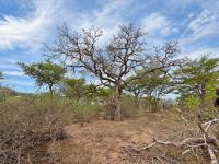  of property in Hoedspruit