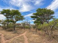 of property in Hoedspruit