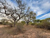  of property in Hoedspruit