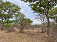  of property in Hoedspruit